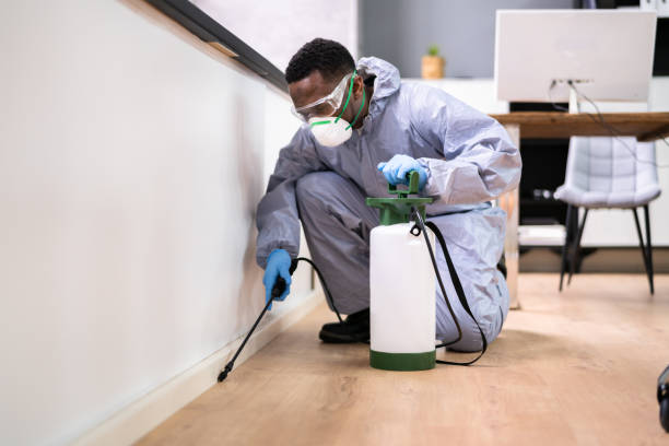 Best Real Estate Pest Inspections  in Ruston, LA